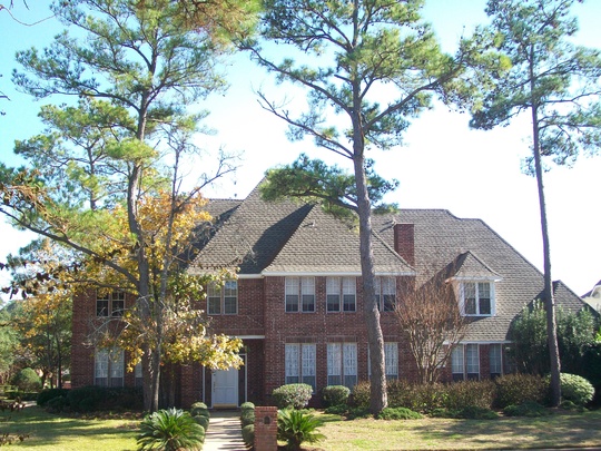 The New Place